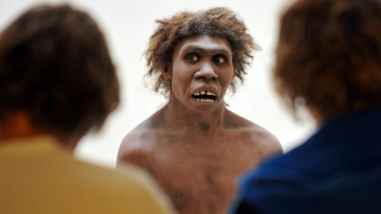 homo-erectus-sabia-se-adaptar-as-condicoes-deserticas,-revela-estudo