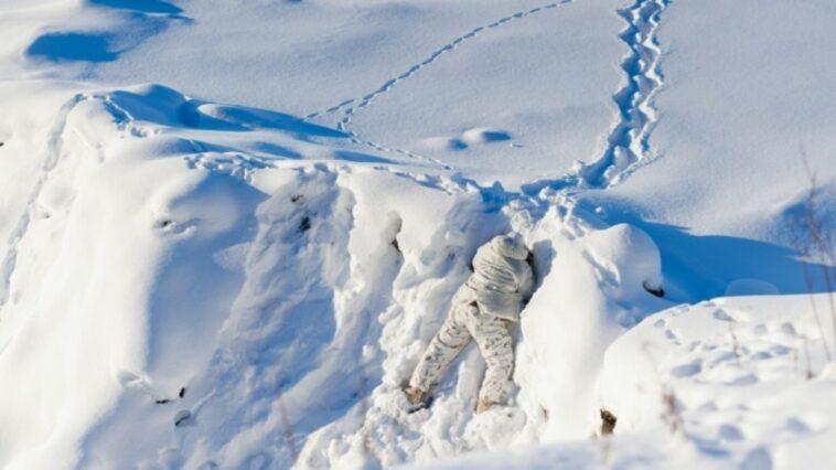 canada-fecha-acordo-com-australia-para-desenvolver-novo-radar-no-artico