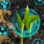 os-empregos-do-futuro-e-a-regeneracao-planetaria