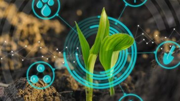 os-empregos-do-futuro-e-a-regeneracao-planetaria