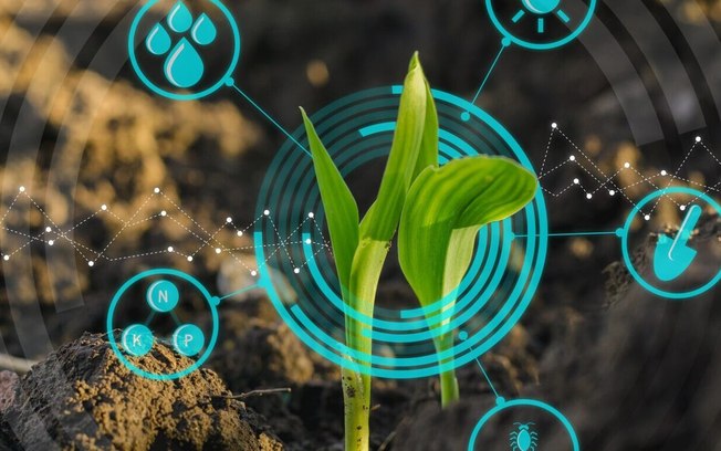 os-empregos-do-futuro-e-a-regeneracao-planetaria