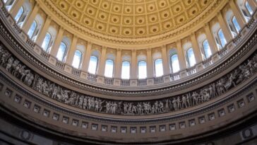 swe-executive-director-attends-stem-advocacy-events