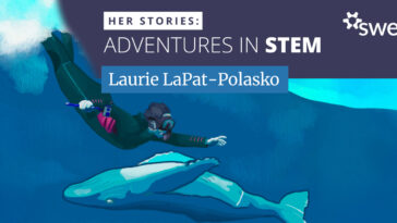 how-laurie-lapat-polasko-turned-a-love-of-the-ocean-into-a-career-protecting-it