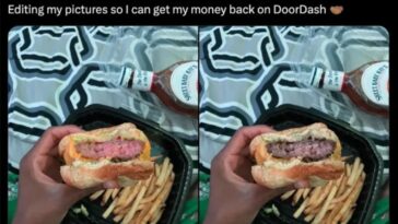 golpistas-usam-ia-para-forjar-comida-estragada-e-ganhar-reembolso