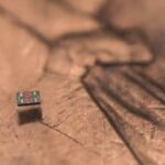 do-tamanho-de-um-grao-de-sal:-conheca-o-menor-robo-do-mundo