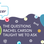 the-questions-rachel-carson-taught-me-to-ask 