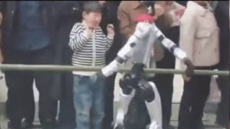 video:-robo-dancarino-bate-em-crianca-durante-apresentacao