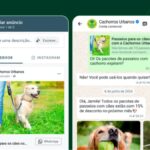 whatsapp-business:-por-que-contas-sao-bloqueadas-e-como-evitar