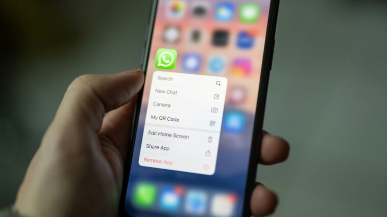 nova-funcao:-como-adicionar-um-nome-de-usuario-no-whatsapp