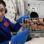 air-fryer-chega-ao-espaco-para-preparar-frango-e-bolo
