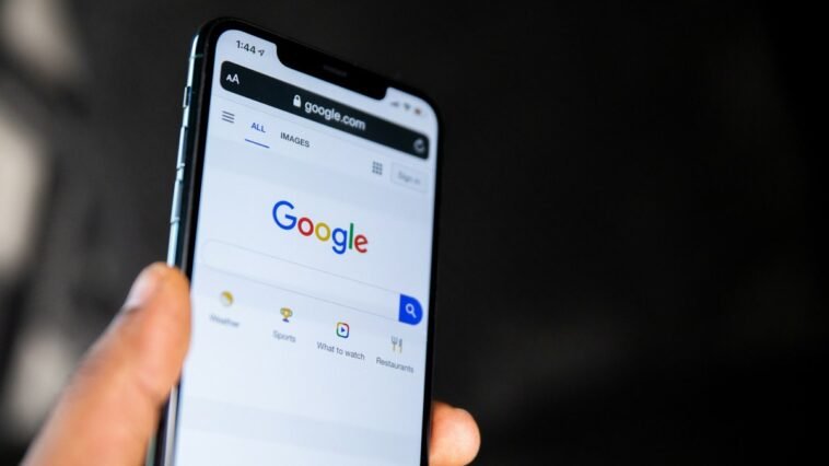 google-derruba-400-mil-arvores-na-finlandia-para-data-center